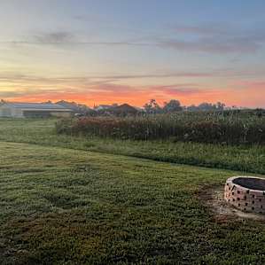 Blackwater Snakehead Campsite