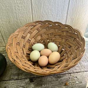 Hello Darlin Farms Glamping