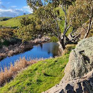 A stunning start to Spring