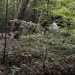 3 Creeks Camp and Nature Preserve .