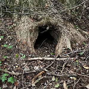3 Creeks Camp and Nature Preserve .
