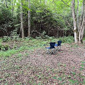 3 Creeks Camp and Nature Preserve .