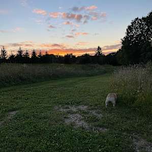 Playing fetch and watching the sunset