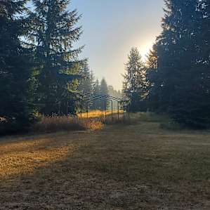 Moon Meadow at Dragons Gate