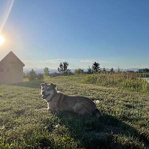 FourFigs Farm Tiny House
