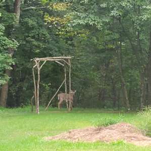 Ricketts Glen State Park Campers