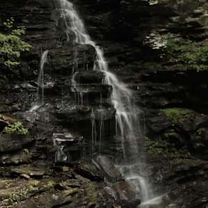 Ricketts Glen State Park Campers