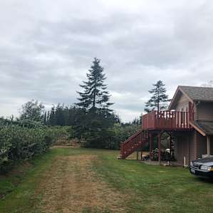 Mountain View Cabin