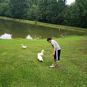 Smith Creek Camping