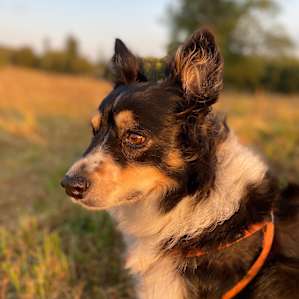 Golden Hour Pose