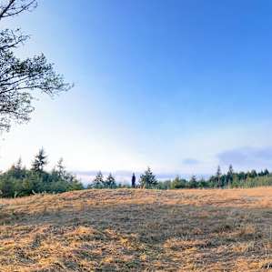 Top of the Hill