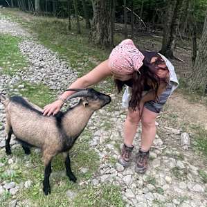Stoney Goat Homestead