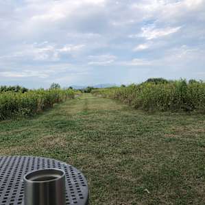 Hudson Valley Farm Camping