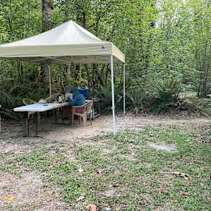 The nut grove at Feral Farm