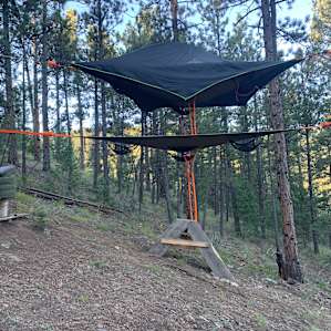 Tree Tent!
