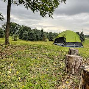 Pioneer Trails Tree Farm
