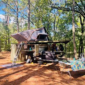 Fancy Hill-Site 10, Primitive Creek