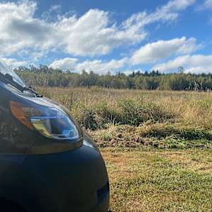 Moon Meadow at Dragons Gate