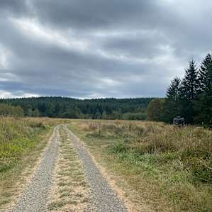 Moon Meadow at Dragons Gate