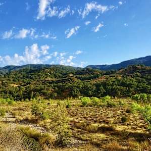 The landscape on the way towards hiking trails and the river.