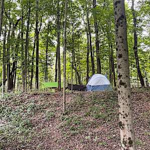 3 hammocks and one huge tent. Still lots of room