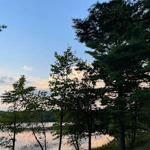 Nature’s Cabin