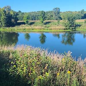 Glen Valley Adventures