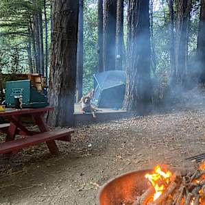 Redwood Camp