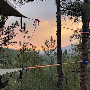 Tree Tent!
