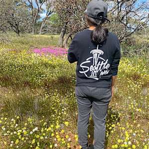 Mt Budd Hill Paddock
