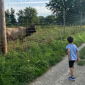 Elk Ranch