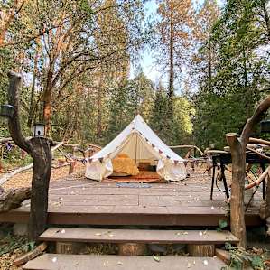 Glamping on the Creek