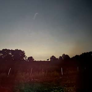Field of Stars Campsites