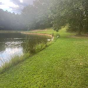 Smith Creek Camping