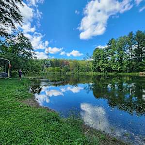 Songbird Suite on Large Pond