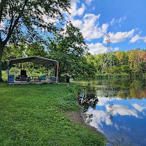 Songbird Suite on Large Pond