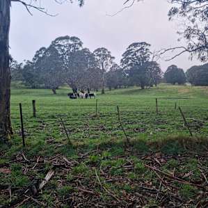 Mckeown's Rest Farmstay