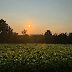 Hudson Valley Farm Camping