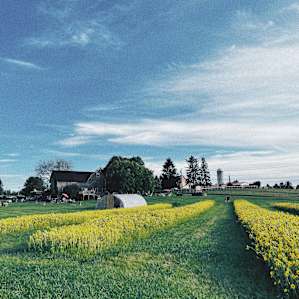 Farm / Distillery / Brewery
