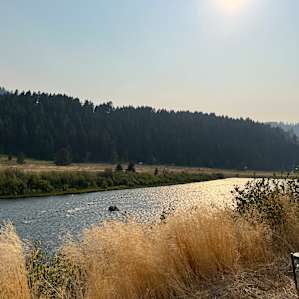 View of Madison River from Glamper site.