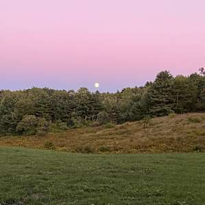 Sebago Sunrise Yurt