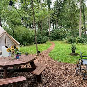 Camp Cozy