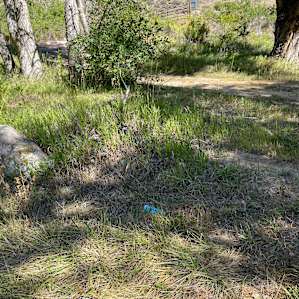 Basecamp on the Poudre