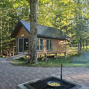 Firefly Woods