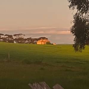 Camping Sites-Wildlife Haven
