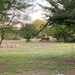 Saddle Ridge Waterside Retreat