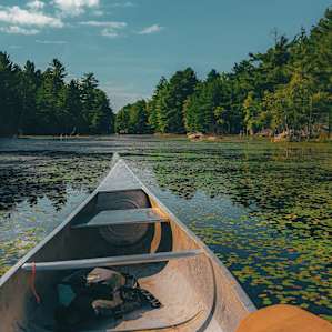 Canoe adventures