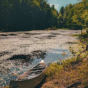 Canoe adventures