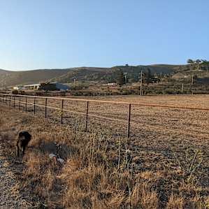 Hollister Peak Loft & Horse Stables