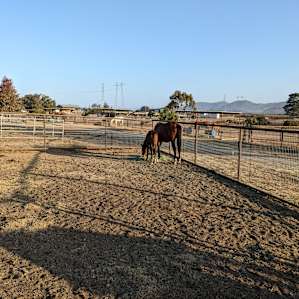 Hollister Peak Loft & Horse Stables